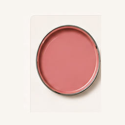Open round paint lid filled with Posy Pink paint for HER